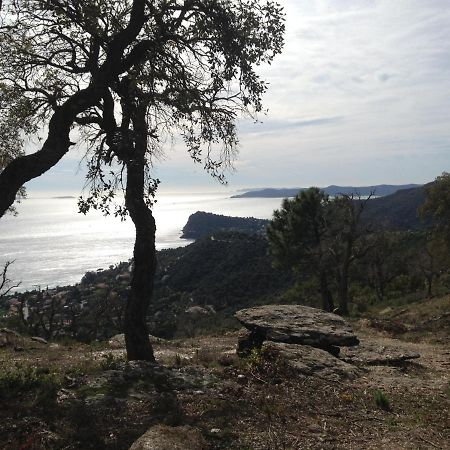 Chemin De La Roseraie Cavalaire-sur-Mer Exteriér fotografie